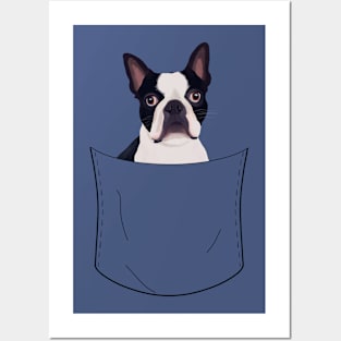 Peeking Pocket Pet - Boston Terrier Posters and Art